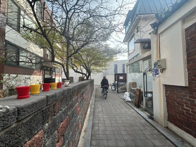 A tree-lined alley in Yeonnam-dong, Seoul
