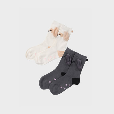 CHANYEOL - 10 Magnet Socks Set / 2024 CHANYEOL LIVE TOUR :