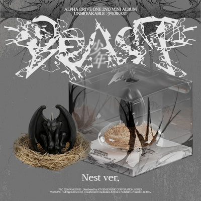 ALPHA DRIVE ONE - UNBREAKABLE : 少年BEAST / 2nd Mini Album (Nest Ver.) (Limited Edition)
