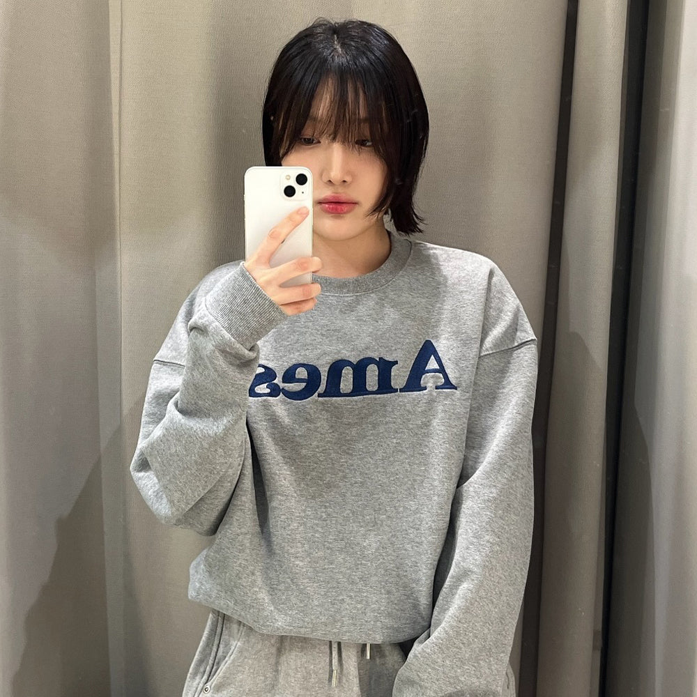ames worldwide BASIC LOGO SWEATSHIRT GREY