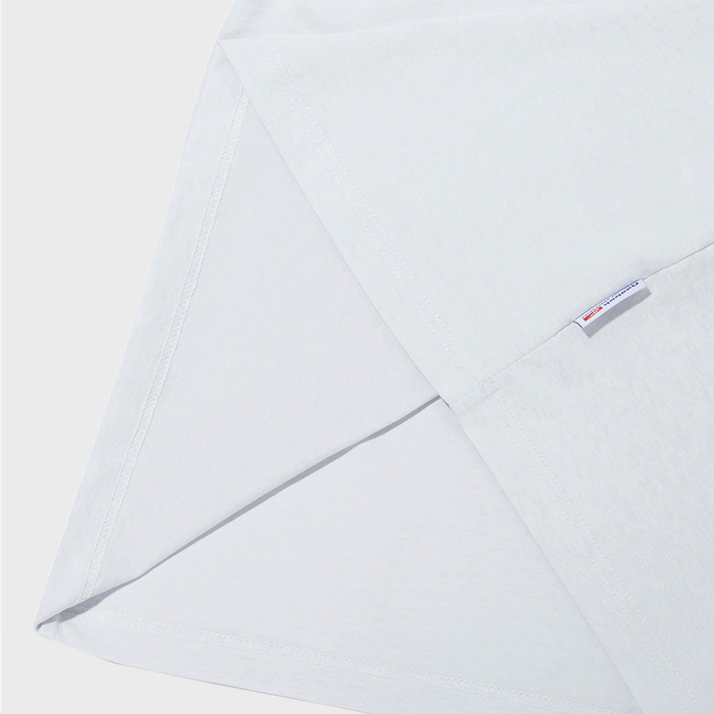 REEBOK Archive Ice Cotton T-Shirt - Light Gray