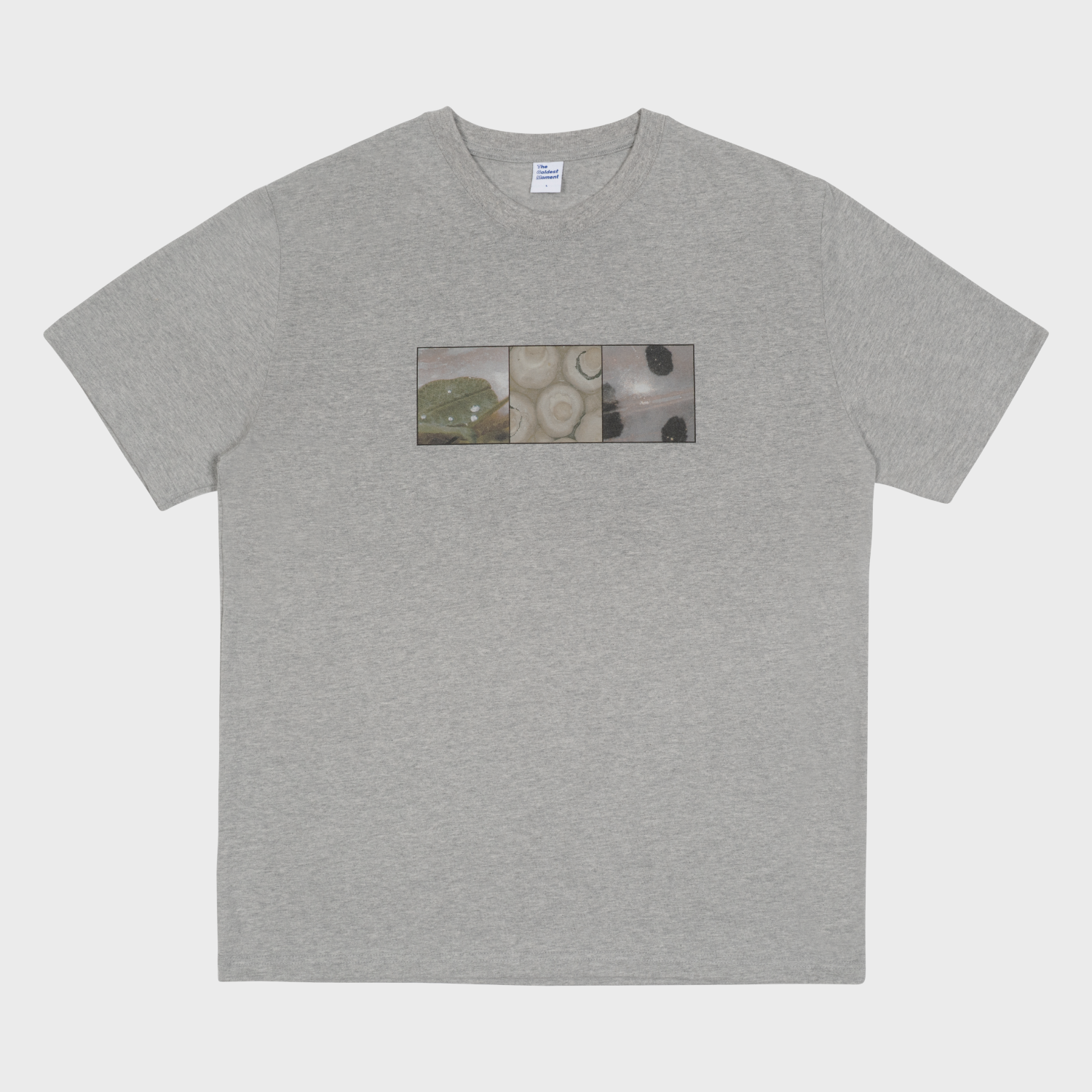 thecoldestmoment TCM nature T (grey)