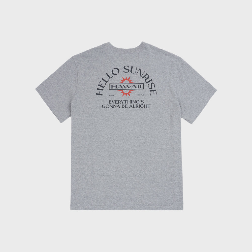HELLO SUNRISE HAWAII Arch Logo Tee_8% Melange Gray