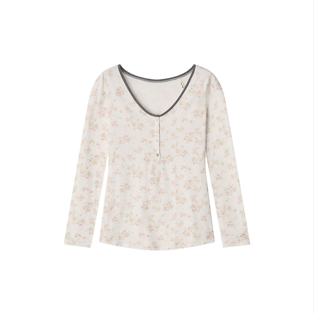 colocynth Shell Button Top Flower
