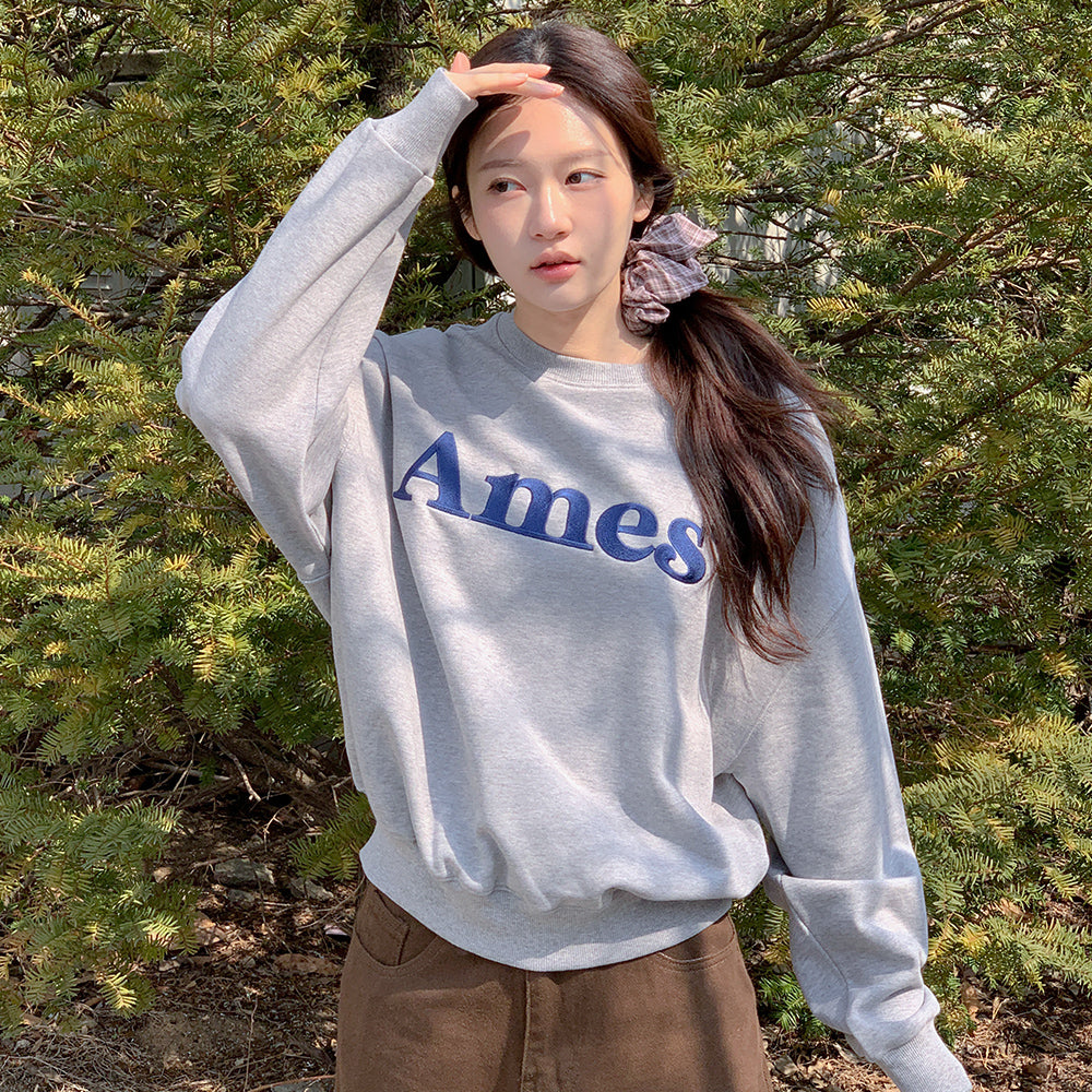 ames worldwide BASIC LOGO SWEATSHIRT GREY