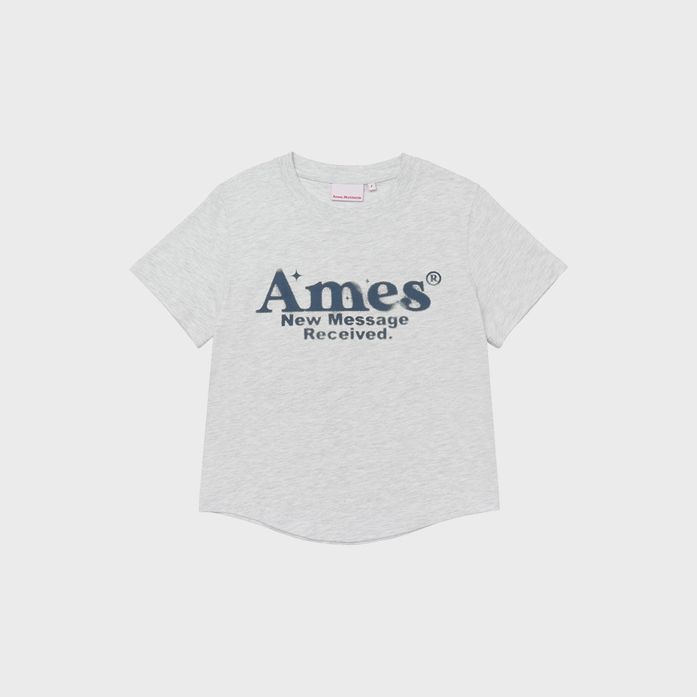 ames worldwide ROUND HEM CROP TEE LIGHT GREY