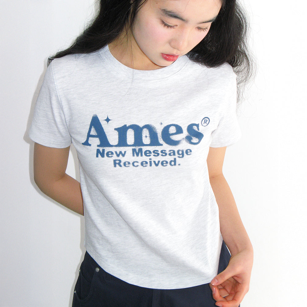ames worldwide ROUND HEM CROP TEE LIGHT GREY