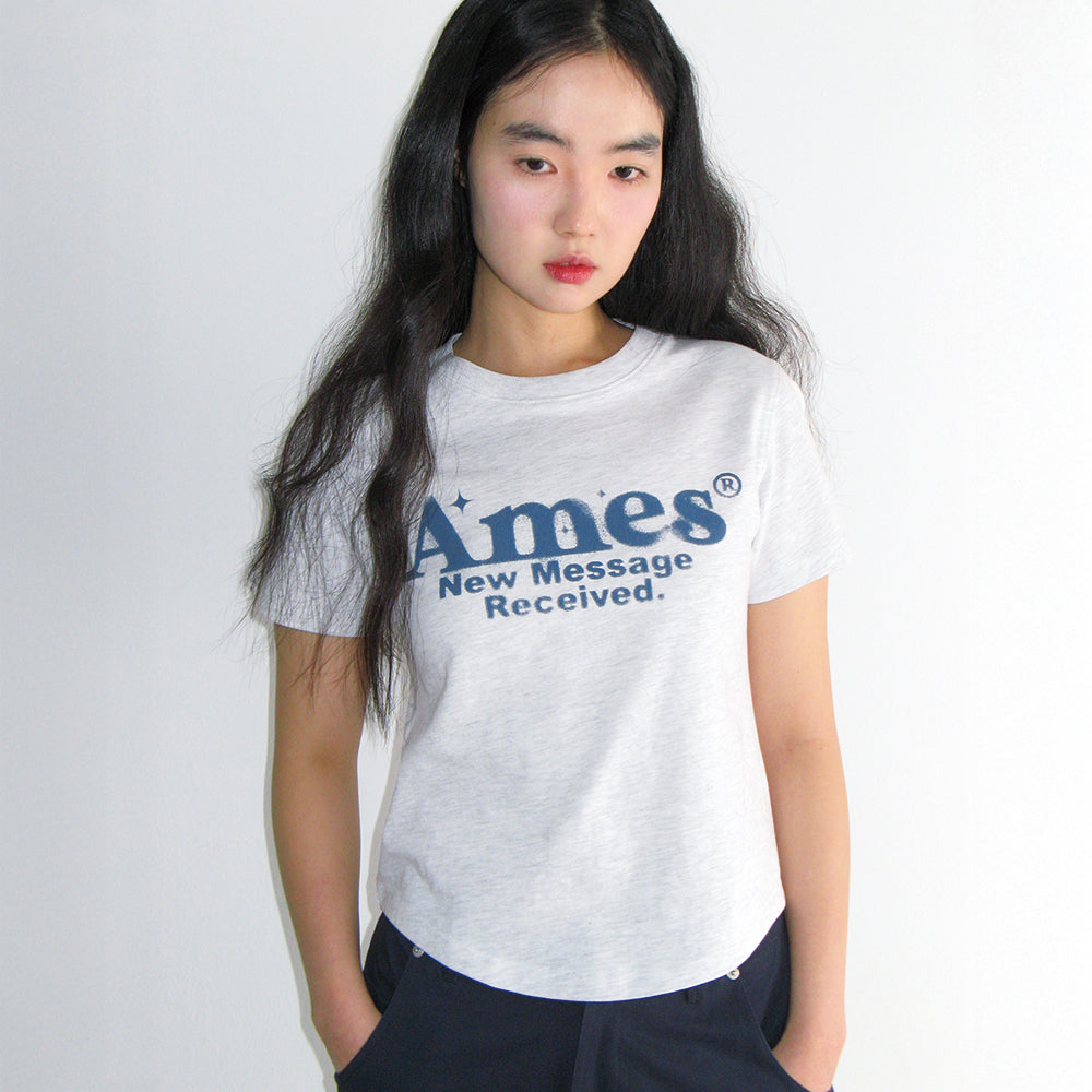 ames worldwide ROUND HEM CROP TEE LIGHT GREY