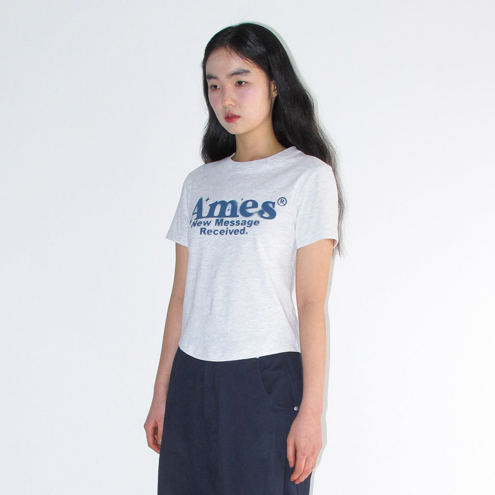 ames worldwide ROUND HEM CROP TEE LIGHT GREY