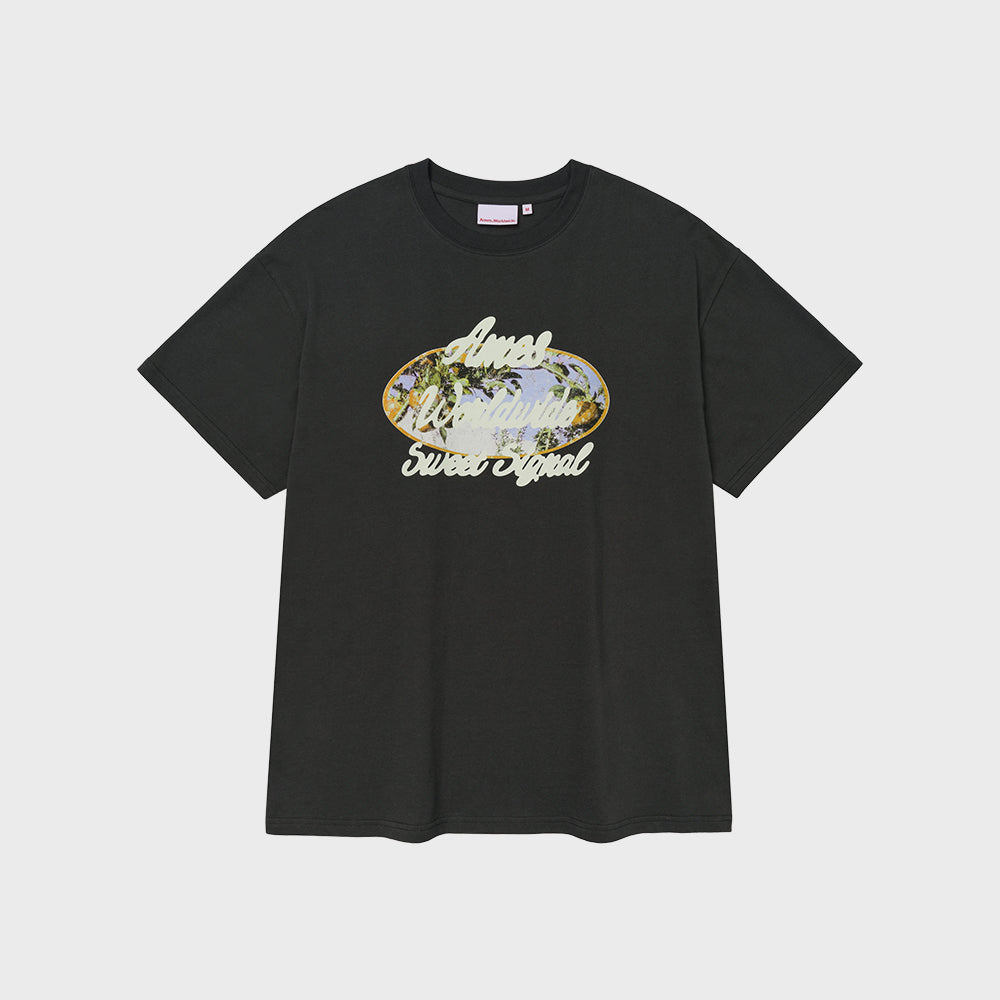 ames worldwide PALM TREE OVAL TEE CHARCOAL