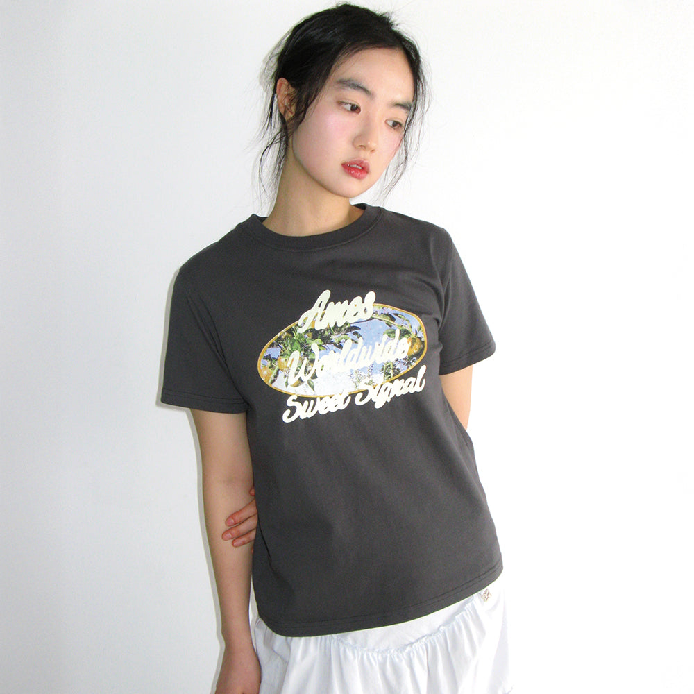 ames worldwide PALM TREE OVAL TEE CHARCOAL