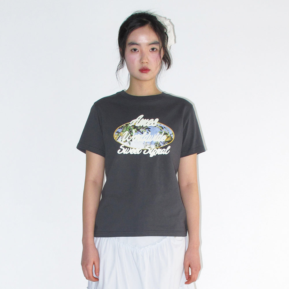 ames worldwide PALM TREE OVAL TEE CHARCOAL