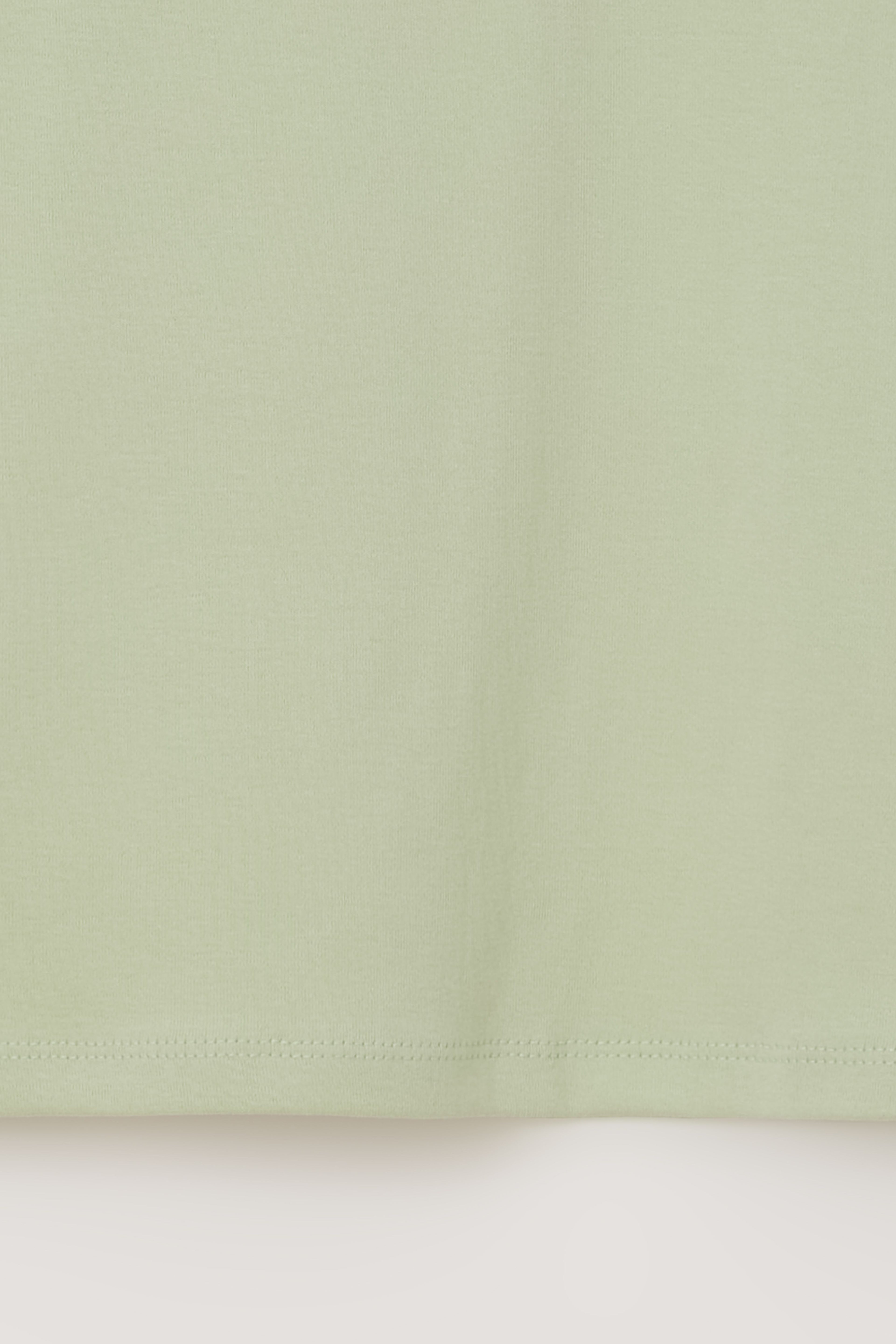 AUBOUR core t-shirt (sage green)
