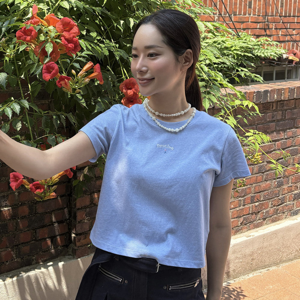 DEWL [Dueling] Mini embroidery pigment crop t-shirt SB_D262MSM149