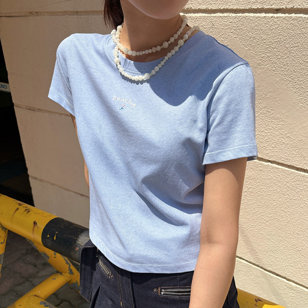 DEWL [Dueling] Mini embroidery pigment crop t-shirt SB_D262MSM149