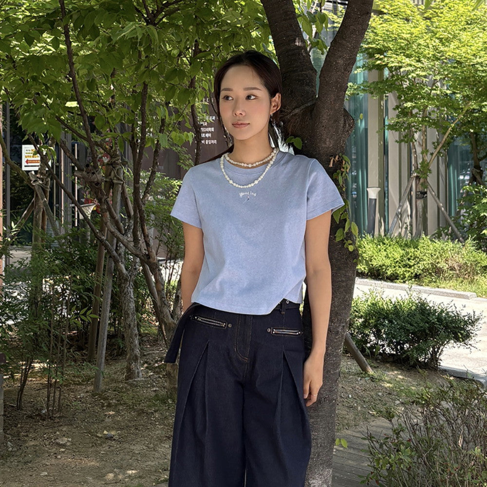 DEWL [Dueling] Mini embroidery pigment crop t-shirt SB_D262MSM149