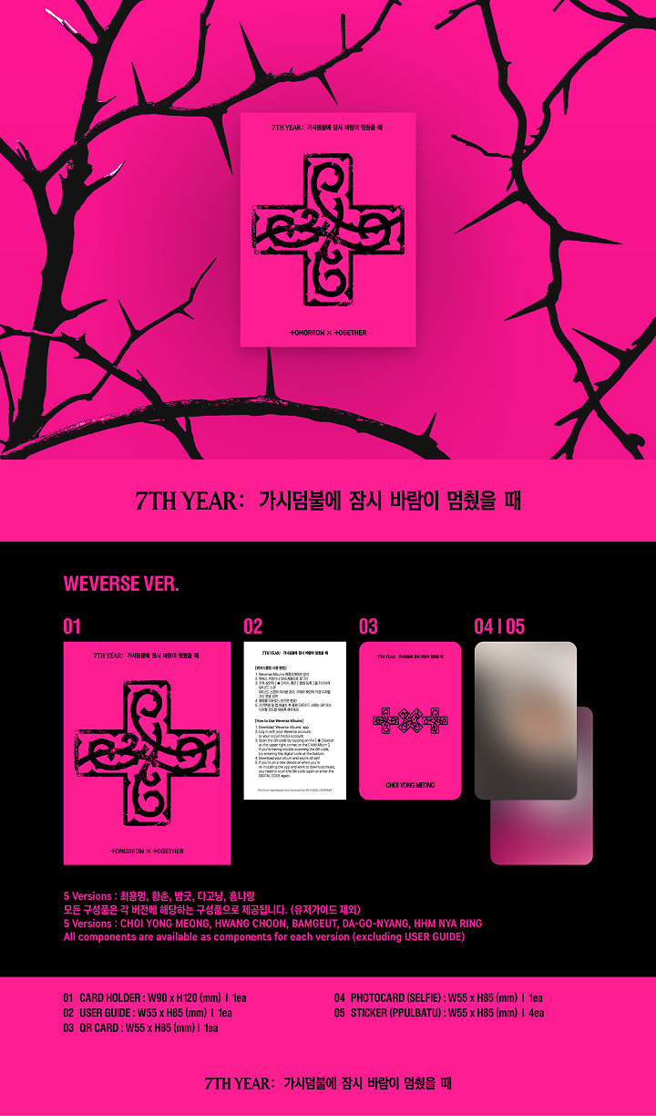 7TH YEAR: 가시덤불에 잠시 바람이 멈췄을 때 (PPULBATU Ver.)(Weverse Albums ver.)(Random) detail 2