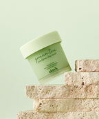SKIN79 SKIN79 Green Tea Purifying Clay Mask 100ml
