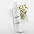 NOTSEEBACK One Shot Mung Bean Sprout Toner 250ml