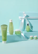 FRUDIA [Free 2 mini creams] Green grape pore clearing 4-piece set
