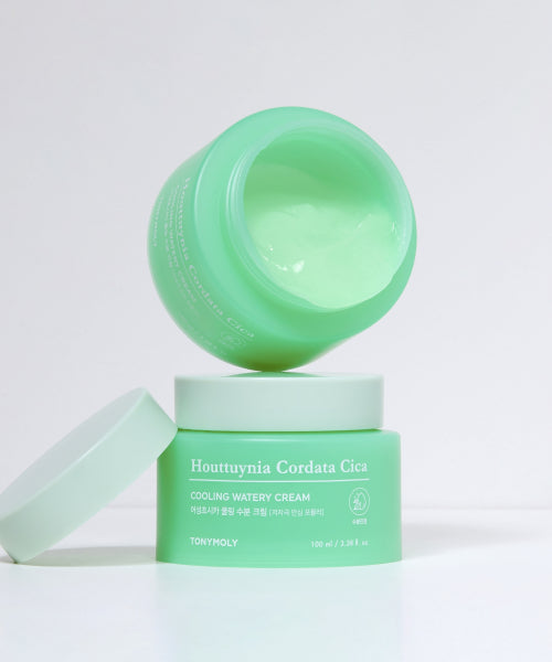 TONYMOLY TONYMOLY Eoseong Chocica Cooling Moisture Cream 100ml