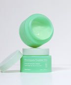 TONYMOLY TONYMOLY Eoseong Chocica Cooling Moisture Cream 100ml