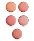 THE FACE SHOP THE FACE SHOP Pastel Cushion Blusher 6g