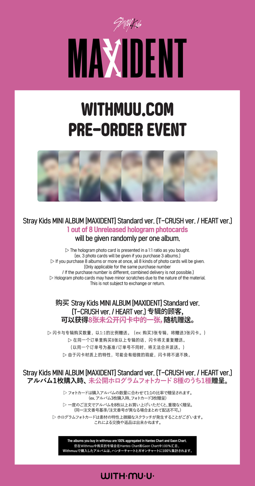 Stray Kids - MAXIDENT (Standard Edition) / Mini Album – Seoul Selects