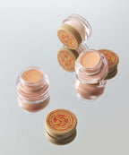 SKINFOOD SKINFOOD Salmon Dark Circle Concealer (3 colors)