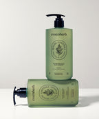 ESSENHERB Tea Tree Deep Clean Scalp Shampoo 500ml+500ml