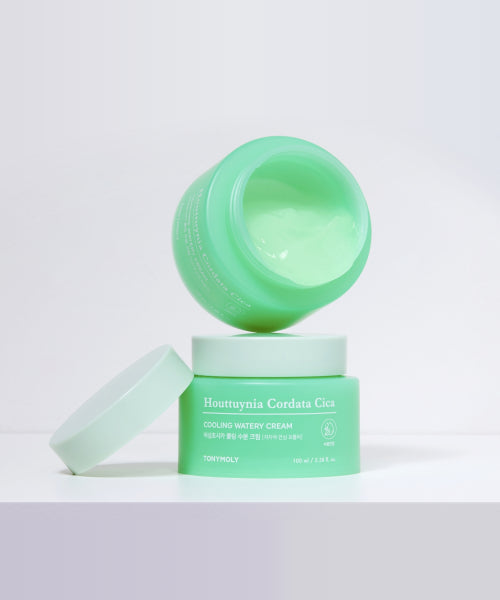 TONYMOLY TONYMOLY Eoseongchocica Cooling Moisture Cream 2pack