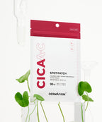 DERMAFIRM DERMAFIRM Cica AC Spot Patch (99 tablets)