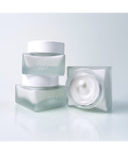 KAINE Kaine Vegan Collagen Cream