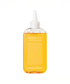STEAMBASE Hair loss improvement, scalp strengthening, turmeric scaler 250ml