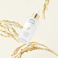 THANK YOU FARMER Enhanced Gyodong Rice Malgun Cream in Ampoule 50ml