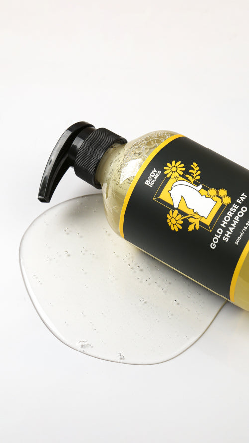 BODYHOLMES Gold horse oil shampoo (functional cosmetics that helps relieve hair loss symptoms)