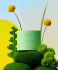 Ma:nyo Our Vegan Houttuynia Cordata Moisture Calming Cream 53ml (Use until 27.01.21)