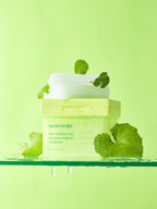 PAPARECIPE PAPARECIPE Real Centella Cica Cooling Water Fit Toner Pad (80 sheets)