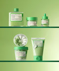 FULLY [5-piece set] Green Tomato Clay Pack Cleanser + Gelato Pack Cleanser + Toner + Serum + Cream