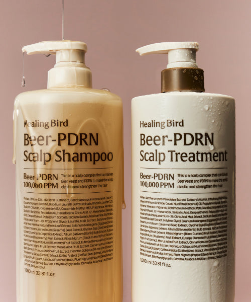 HEALING BIRD [SET] Beer PDRN Hair Loss Shampoo 1000ml + PDRN Scalp Treatment 1000ml [Giveaway] Tea Tree Duo Sachet 3EA