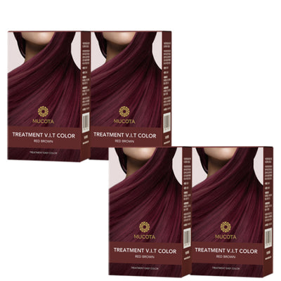 Treatment Easy Color Hair Dye Season 2 4 Boxes Wine Brown