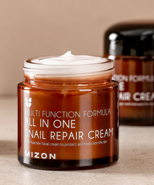 MIZON All-in-one Snail Repair Cream 75ml