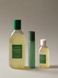 AROMATICA [Hair loss nutrition care] Rosemary hair loss nutrition set (shampoo 400ML + ampoule 20ML + shampoo 100ML)