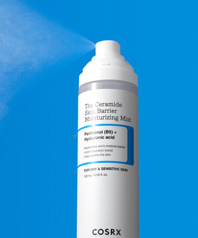 The Ceramide Skin Barrier Moisturizing Mist 120ml