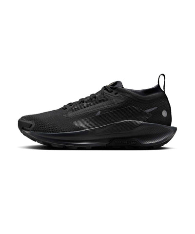 Nike Pegasus Trail 5 GORE-TEX W - Size 10