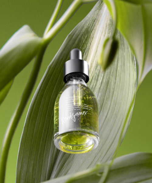 RENDEJAVOUSBEAUTY Jeju Matcha High Moisturizing Wrinkle Radiance Ampoule 30ml