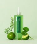 DR.SEED Tea Tree & Lime Vegan Hair Loss Scalp Water Scaler 500ml