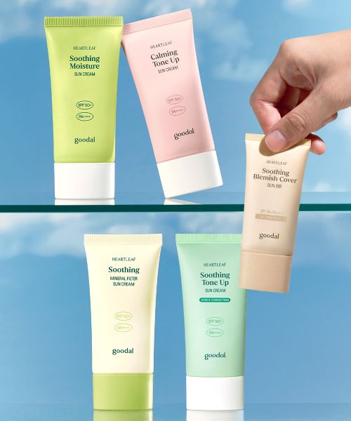 goodal [SET] Eosongcho sunscreen (moisturizing/tone-up/green tone-up/mineral sunscreen) 50ml + cover