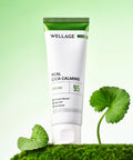 WELLAGE Real Cica Calming 95 Cream 80ml (+20ml additional gift)