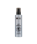 ELASTINE Men in Matt Set and Hold Spray 200ML